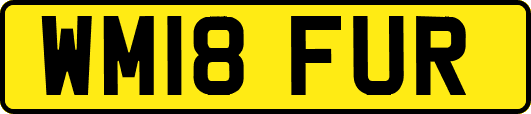 WM18FUR