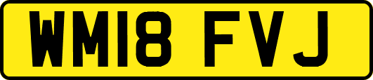WM18FVJ