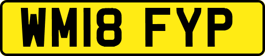 WM18FYP