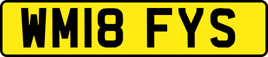 WM18FYS