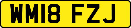 WM18FZJ
