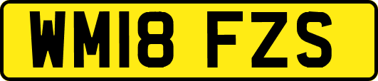 WM18FZS