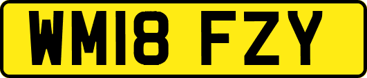 WM18FZY
