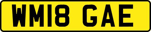 WM18GAE