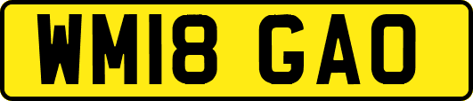 WM18GAO