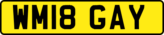 WM18GAY