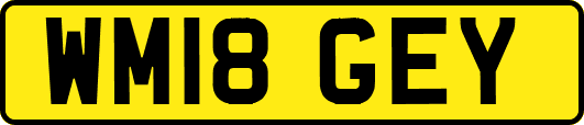 WM18GEY