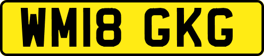 WM18GKG
