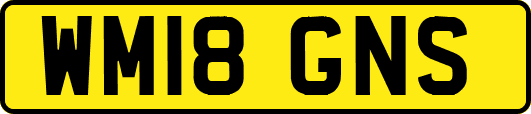 WM18GNS