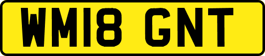 WM18GNT