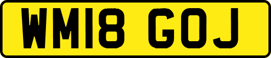 WM18GOJ