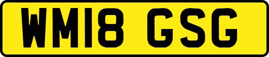 WM18GSG
