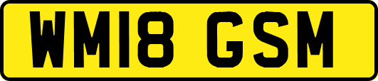 WM18GSM