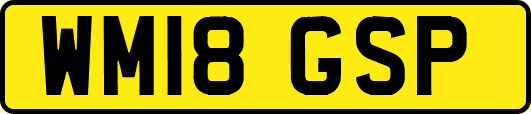 WM18GSP