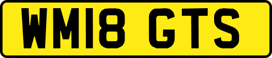 WM18GTS