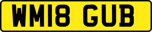 WM18GUB