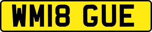 WM18GUE