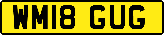 WM18GUG