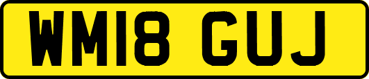 WM18GUJ