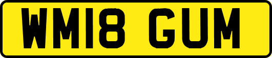 WM18GUM