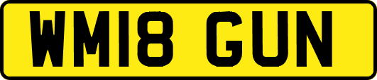 WM18GUN
