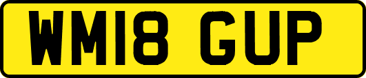 WM18GUP