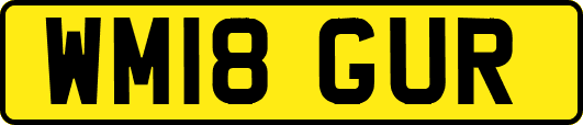WM18GUR
