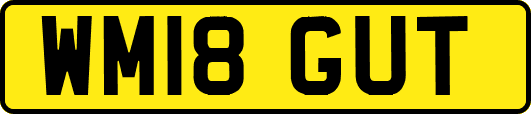 WM18GUT