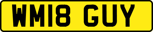 WM18GUY