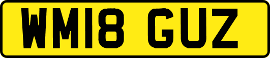WM18GUZ