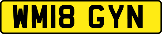 WM18GYN
