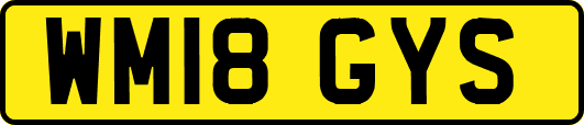 WM18GYS
