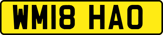 WM18HAO