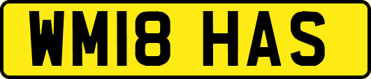 WM18HAS