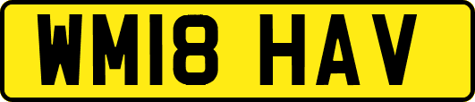 WM18HAV