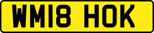 WM18HOK