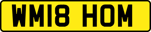 WM18HOM