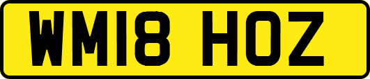 WM18HOZ