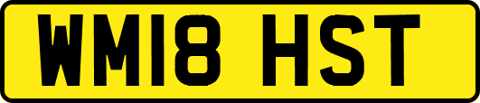 WM18HST