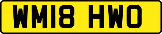 WM18HWO