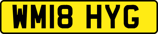 WM18HYG