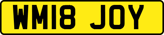 WM18JOY