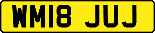 WM18JUJ