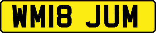 WM18JUM