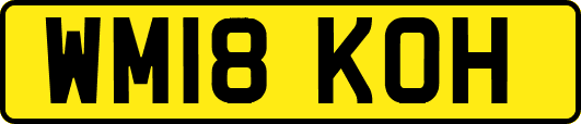 WM18KOH