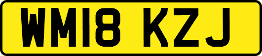 WM18KZJ