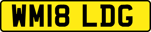 WM18LDG