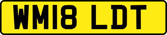 WM18LDT