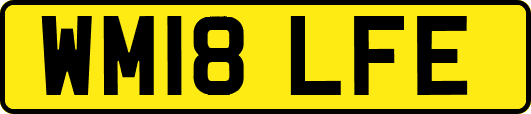 WM18LFE