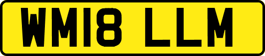 WM18LLM
